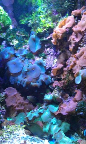 IMAG0194.jpg