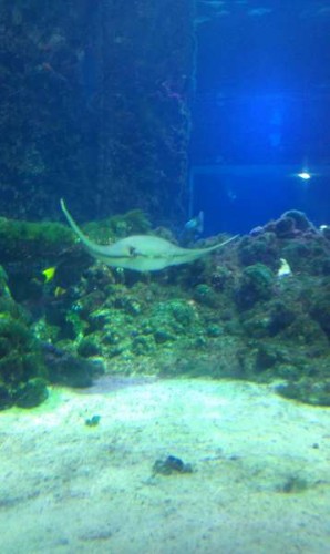 IMAG0214.jpg