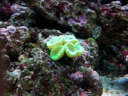 20121126_183846.jpg