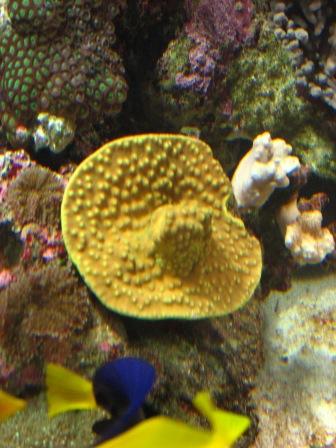 IMG_3031.jpg