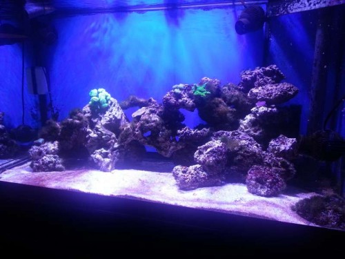 20121126_200903.jpg