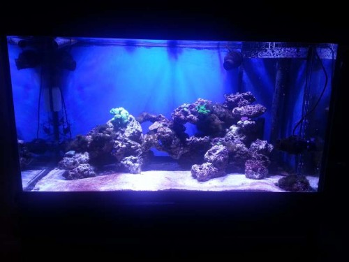 20121126_200837.jpg