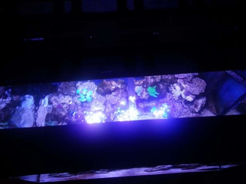 20121126_200816.jpg