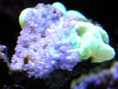 DSCF8213.jpg