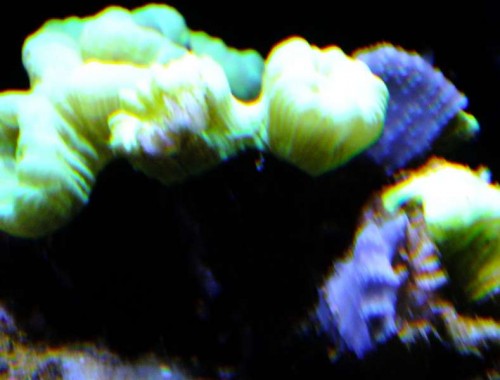 DSCF8219.jpg