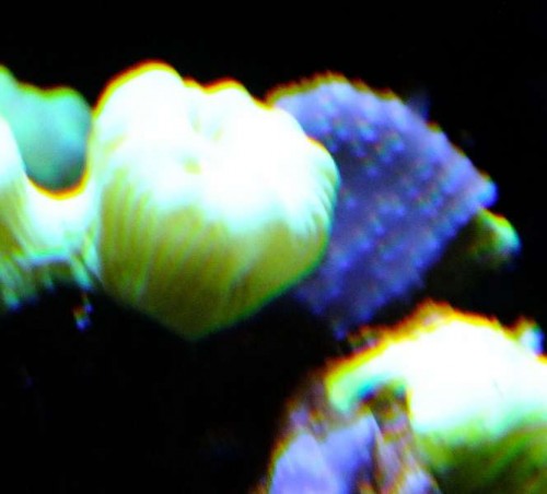 DSCF8219b.jpg