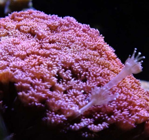 DSCF8224.jpg
