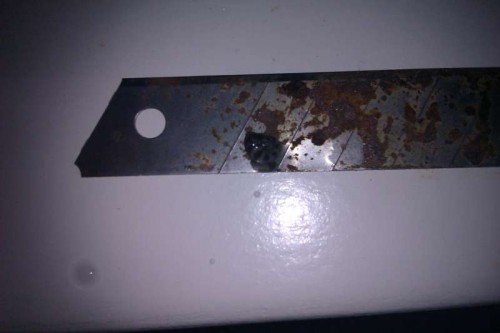 IMAG0274 (Medium).jpg