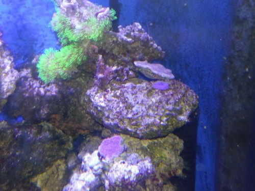 20121225_180342.jpg