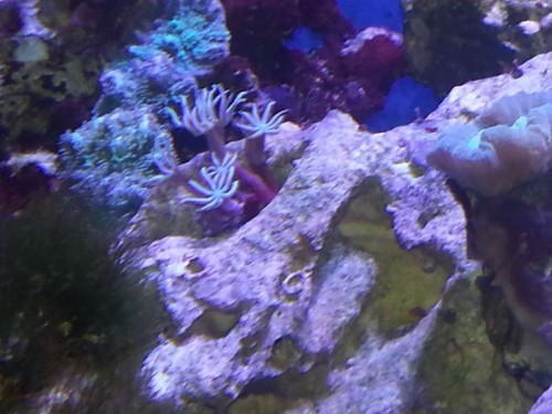 20121225_180300.jpg