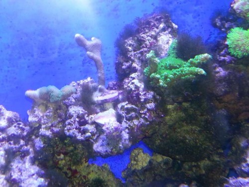 20121225_180322.jpg