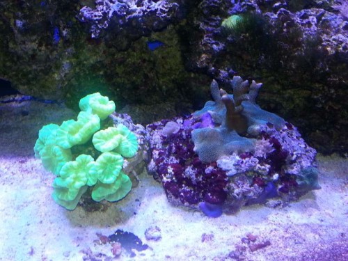 20121225_180356.jpg