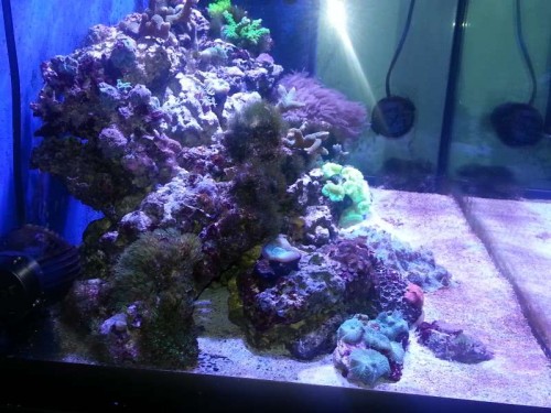 20121225_180426.jpg