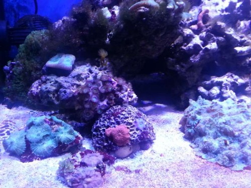 20121225_180447.jpg