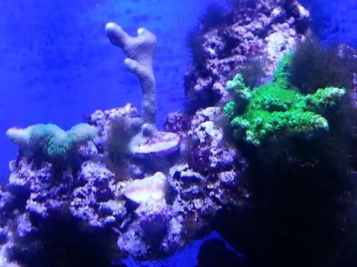 20121225_180513.jpg