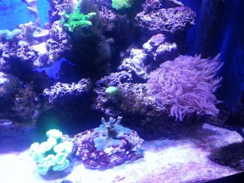 20121225_180527.jpg