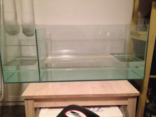 sump set fra siden det lille rum passer til en skummer jeg fik med den står på tværs i rummet