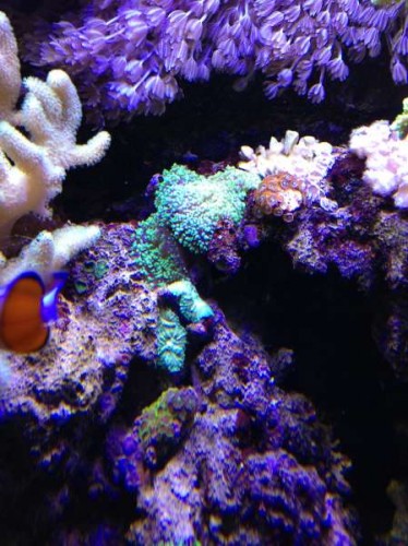 Photo 08-01-13 19.02.43.jpg