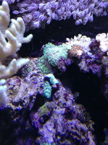 Photo 08-01-13 19.06.45.jpg