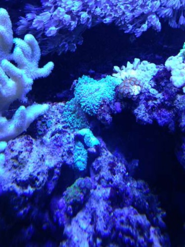 Photo 08-01-13 19.07.25.jpg