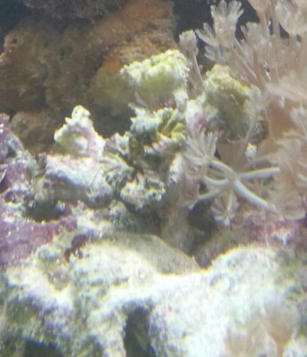 20130128_182738-1.jpg