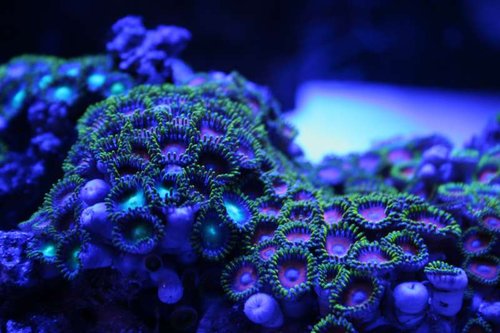 IMG_6241.JPG