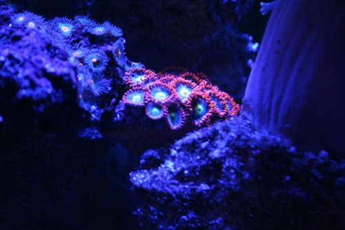IMG_6245.JPG