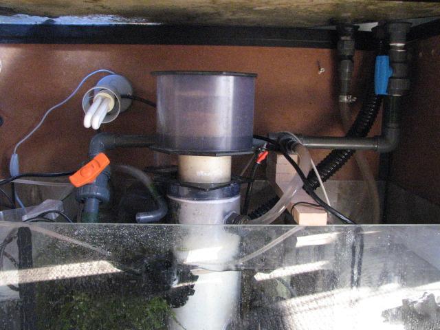 Billede 085 (Small).jpg