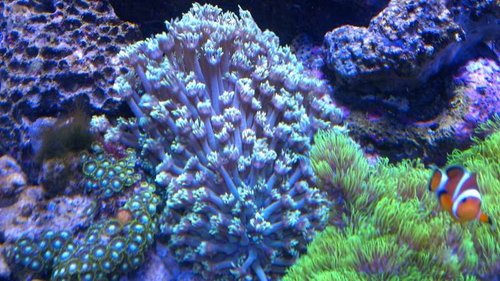 IMAG0919.jpg