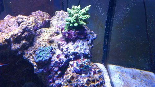 IMAG0924.jpg