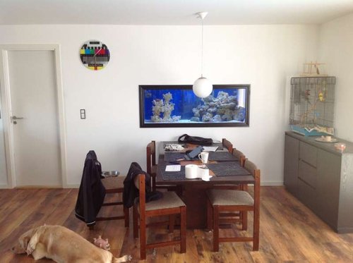 Som det ses, var jeg tvunget til at bygge akvariet. For på den måde at flytte fokus fra vores gamle grimme spisebord. hehe :-)