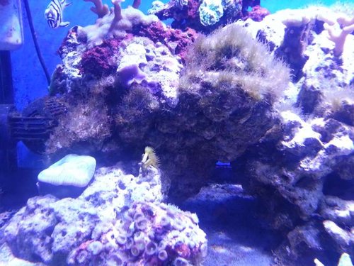 20130222_173004.jpg