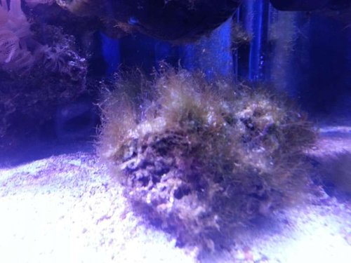 20130222_173048.jpg