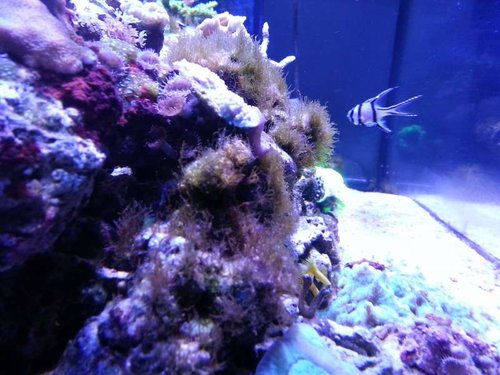 20130222_173754.jpg