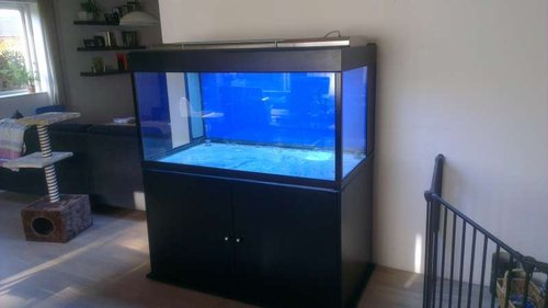 IMAG0270.jpg (24.97 KiB) Vist 4683 gange Så kom hele herligheden endelig ind i stuen hvor mit gamle 530'er malawi akvaruin stop ind til for 2 dage siden :) det her pynter meget mere, selvom det er tomt ;)