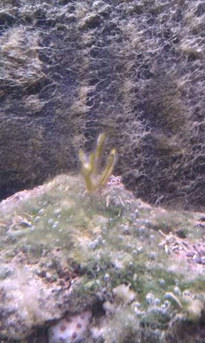 IMAG0018.jpg