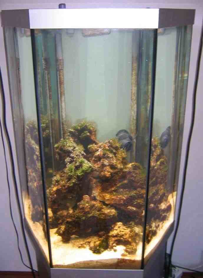 Akvariet :-D