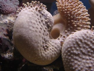 DSC04202.JPG