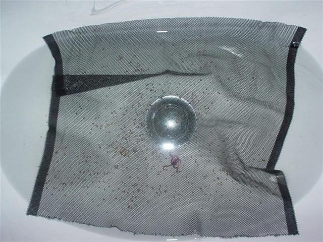 DSC00177 (Medium).JPG