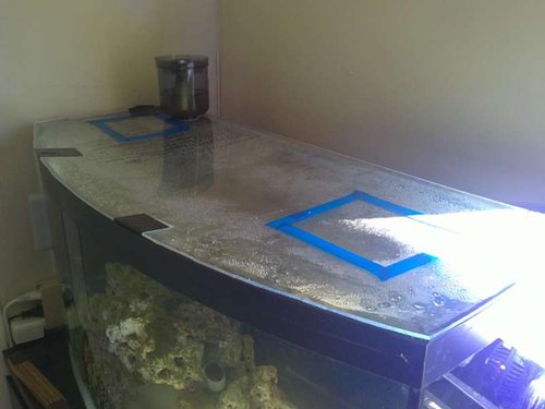 Specielskåret 3mm plexiglasplade, så sprutten ik stikker af. Jeg skal have lavet 2 skyde låger, eller 2 plexiglaslåg som skal sidde med velcro, så jeg kan fodre og skifte filtermateriale uden frygt for &quot;Octo-Escape&quot;.
