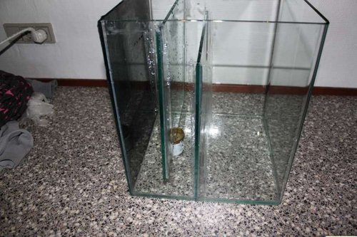 Her billede af sump med kun 2 plader for at spare plads