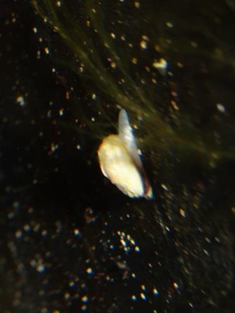 2013-06-03 07.26.46.jpg