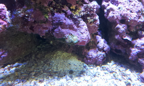 20130610_165949.jpg