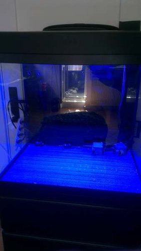 IMAG0240.jpg