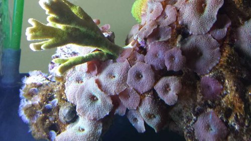 20130716_160556.jpg