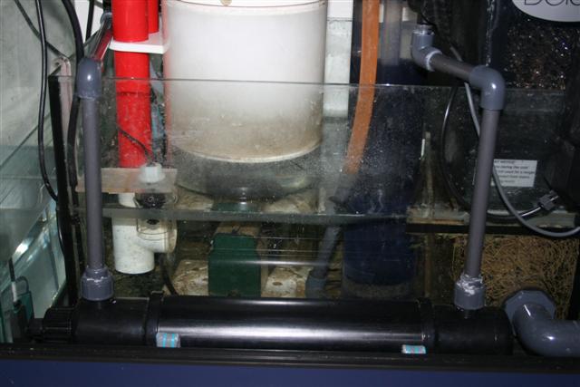 IMG_0594 (Small).jpg