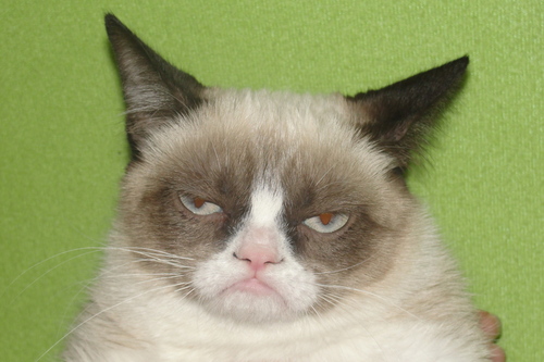 tumblr_mc1wcmtqvt1rz0m0ao1_500.jpg