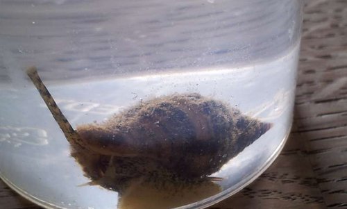 20130922_133808.jpg