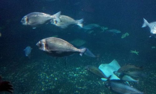 20130915_160220.jpg