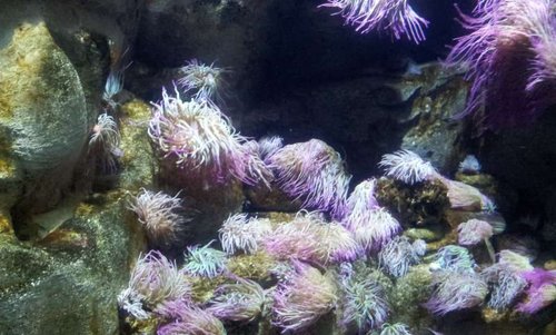 20130915_160322.jpg